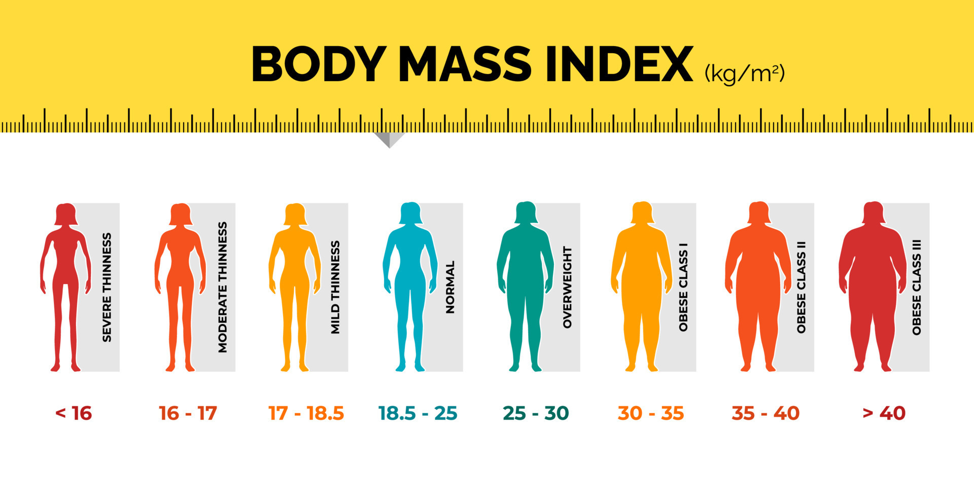 Fitness Weights